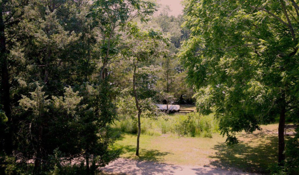 Wells Mills Park, Pinelands (Credit: The New Jersey Division of Travel and Tourism)