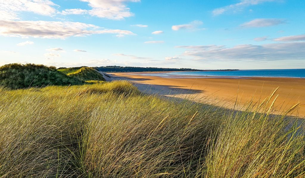 Northumberland Coast cycling holidays with Saddle Skedaddle