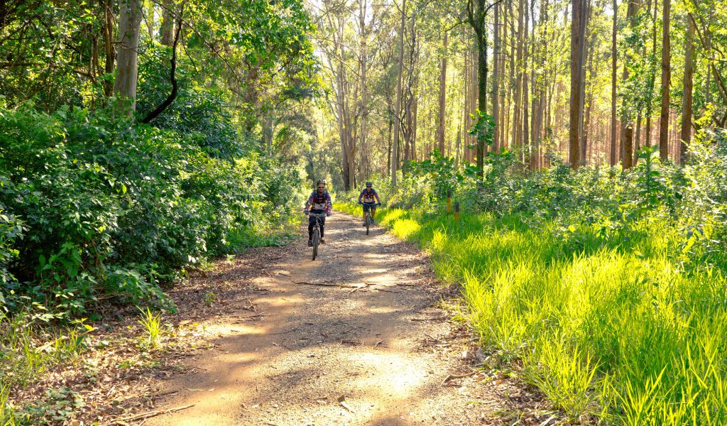 Adventure travel trends 2025 - e-biking (Image: PxHere.com)