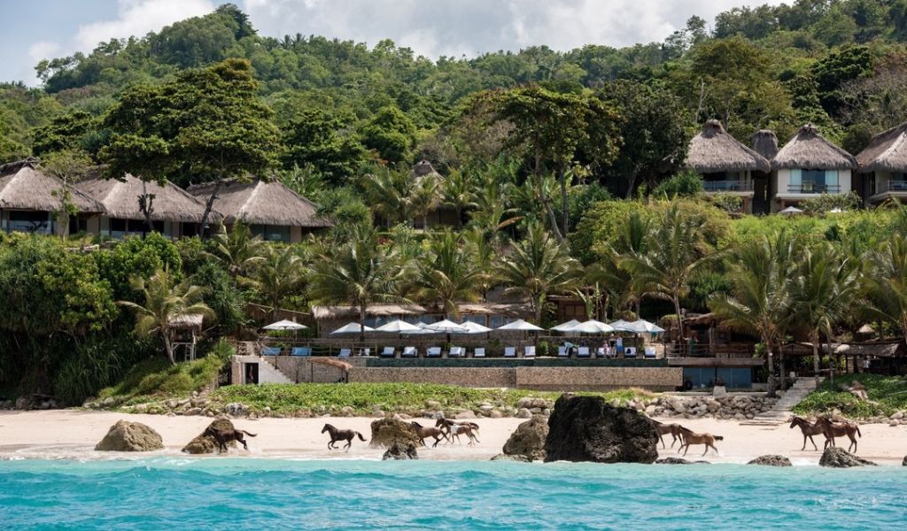 The Equine Collective best hotels for horse lovers