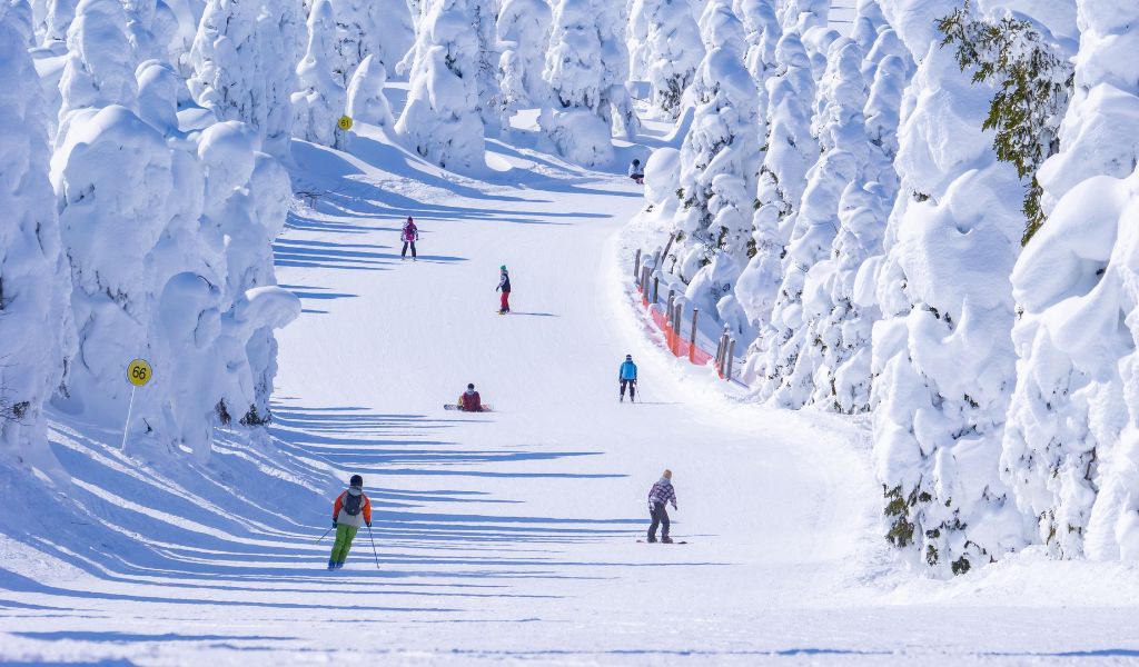 Luxury travel company Wayfairer Travel has launched a 10-day Japan ski and culture tour to meet rising demand